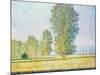 The Meadow of Limetz, 1888 by Claude Monet-Claude Monet-Mounted Giclee Print