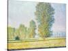 The Meadow of Limetz, 1888 by Claude Monet-Claude Monet-Stretched Canvas