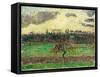 The Meadows at Éragny, Apple Tree, 1894-Camille Pissarro-Framed Stretched Canvas