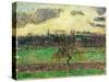 The Meadows at Éragny, Apple Tree, 1894-Camille Pissarro-Stretched Canvas