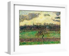 The Meadows at Éragny, Apple Tree, 1894-Camille Pissarro-Framed Giclee Print