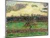 The Meadows at Éragny, Apple Tree, 1894-Camille Pissarro-Mounted Giclee Print