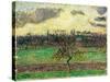 The Meadows at Éragny, Apple Tree, 1894-Camille Pissarro-Stretched Canvas