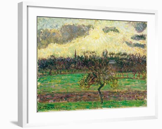 The Meadows at Éragny, Apple Tree, 1894-Camille Pissarro-Framed Giclee Print