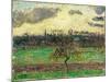 The Meadows at Éragny, Apple Tree, 1894-Camille Pissarro-Mounted Giclee Print