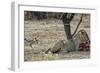 The Meal-Piet Flour-Framed Photographic Print