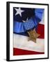 The Medal of Honor Rests On a Flag During Preparations For An Award Ceremony-Stocktrek Images-Framed Photographic Print