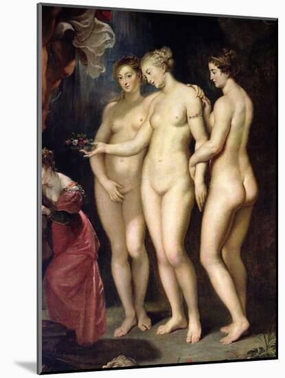 The Medici Cycle: Education of Marie de Medici, Detail of the Three Graces, 1621-25-Peter Paul Rubens-Mounted Giclee Print