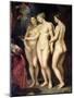 The Medici Cycle: Education of Marie de Medici, Detail of the Three Graces, 1621-25-Peter Paul Rubens-Mounted Giclee Print