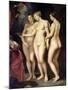 The Medici Cycle: Education of Marie de Medici, Detail of the Three Graces, 1621-25-Peter Paul Rubens-Mounted Giclee Print