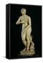 The Medici Venus-Roman-Framed Stretched Canvas