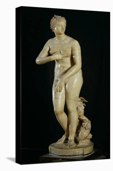 The Medici Venus-Roman-Stretched Canvas