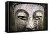 The Medicine Buddha-null-Framed Stretched Canvas