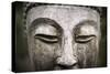 The Medicine Buddha-null-Stretched Canvas