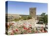 The medieval castle from Moorish times . Mertola, Alentejo. Portugal-Martin Zwick-Stretched Canvas