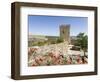 The medieval castle from Moorish times . Mertola, Alentejo. Portugal-Martin Zwick-Framed Photographic Print