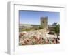 The medieval castle from Moorish times . Mertola, Alentejo. Portugal-Martin Zwick-Framed Photographic Print
