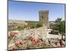 The medieval castle from Moorish times . Mertola, Alentejo. Portugal-Martin Zwick-Mounted Photographic Print