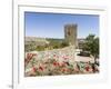 The medieval castle from Moorish times . Mertola, Alentejo. Portugal-Martin Zwick-Framed Photographic Print