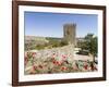 The medieval castle from Moorish times . Mertola, Alentejo. Portugal-Martin Zwick-Framed Photographic Print