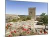 The medieval castle from Moorish times . Mertola, Alentejo. Portugal-Martin Zwick-Mounted Photographic Print