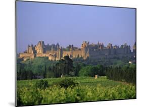 The Medieval City of Carcassonne, Aude, Languedoc-Roussillon, France, Europe-J P De Manne-Mounted Photographic Print