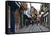 The Medieval Narrow Street of the Shambles and Little Shambles-Peter Richardson-Framed Stretched Canvas