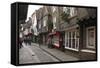 The Medieval Narrow Street of the Shambles and Little Shambles-Peter Richardson-Framed Stretched Canvas