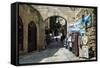 The Medieval Old Town. UNESCO World Heritage Site-Michael Runkel-Framed Stretched Canvas