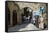 The Medieval Old Town. UNESCO World Heritage Site-Michael Runkel-Framed Stretched Canvas