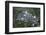 The Medieval Village of Monsanto in the Municipality of Idanha-A-Nova, Monsanto, Beira-Alex Robinson-Framed Photographic Print