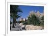 The Medina, Yasmine Hammamet, Tunisia, North Africa, Africa-Nelly Boyd-Framed Photographic Print