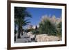 The Medina, Yasmine Hammamet, Tunisia, North Africa, Africa-Nelly Boyd-Framed Photographic Print