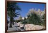 The Medina, Yasmine Hammamet, Tunisia, North Africa, Africa-Nelly Boyd-Framed Photographic Print