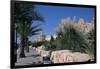 The Medina, Yasmine Hammamet, Tunisia, North Africa, Africa-Nelly Boyd-Framed Photographic Print