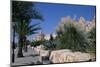 The Medina, Yasmine Hammamet, Tunisia, North Africa, Africa-Nelly Boyd-Mounted Photographic Print