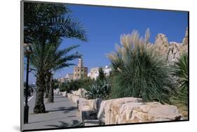 The Medina, Yasmine Hammamet, Tunisia, North Africa, Africa-Nelly Boyd-Mounted Photographic Print