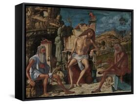 The Meditation on the Passion, c.1490-Vittore Carpaccio-Framed Stretched Canvas