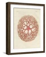 The Medusa Star-null-Framed Giclee Print