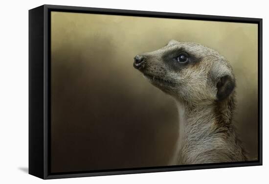 The Meerkat-Jai Johnson-Framed Stretched Canvas