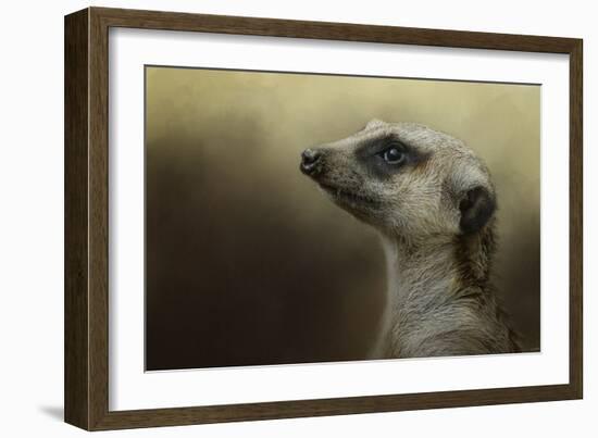 The Meerkat-Jai Johnson-Framed Giclee Print