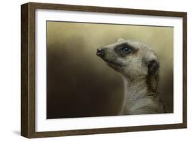 The Meerkat-Jai Johnson-Framed Giclee Print