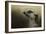 The Meerkat-Jai Johnson-Framed Giclee Print