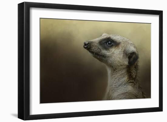 The Meerkat-Jai Johnson-Framed Giclee Print