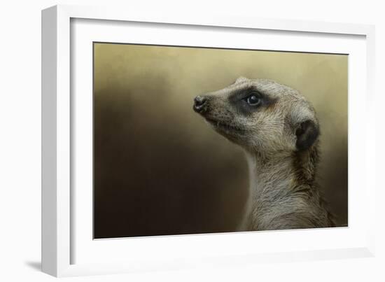 The Meerkat-Jai Johnson-Framed Giclee Print