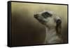 The Meerkat-Jai Johnson-Framed Stretched Canvas