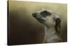 The Meerkat-Jai Johnson-Stretched Canvas