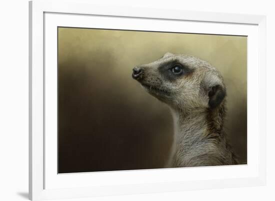 The Meerkat-Jai Johnson-Framed Giclee Print