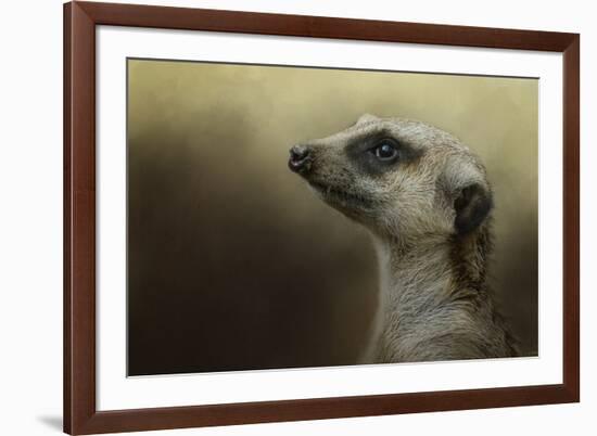 The Meerkat-Jai Johnson-Framed Giclee Print