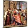 The Meeting at the Golden Gate with Saints, 1515-Vittore Carpaccio-Mounted Giclee Print